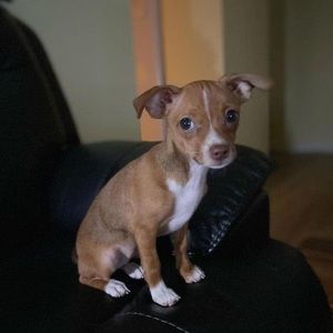 Meet your Posher, Bonny